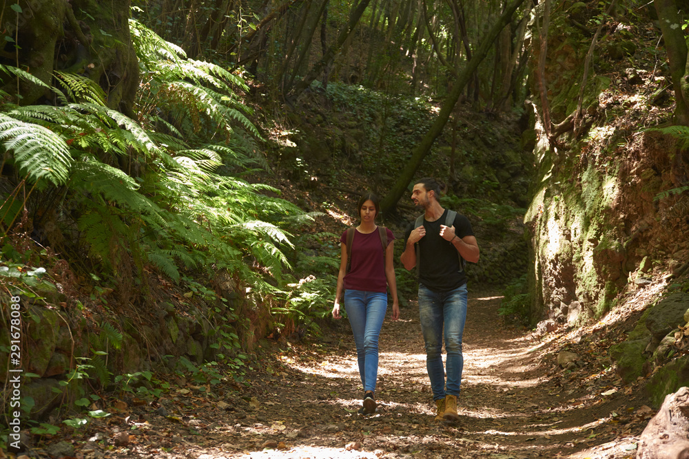Couple walking next to large tree ferns