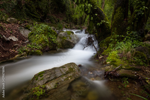 waterfall in the forest
