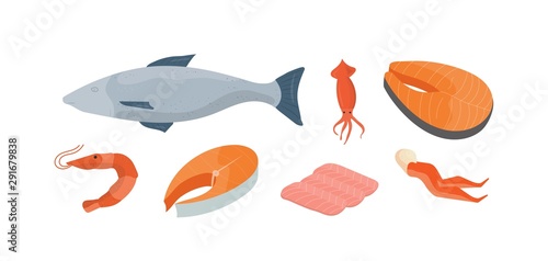 Natural seafood vector illustrations set. Whole fish, squid and shrimp. Delicious fish market products, marine cuisine restaurant menu design elements. Crab legs, fish slices and salmon fillet.