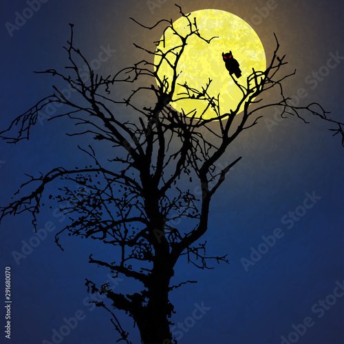 owl in front of moon