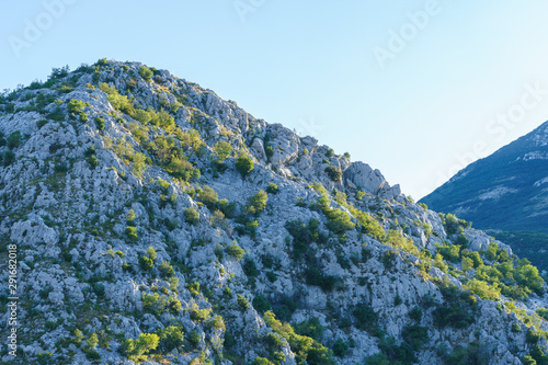 peak of mountains covered with vegetation