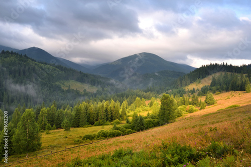 Amazing mountain landscape with fog and colorful herbs. Sunny morning after rain. Carpathian, Ukraine, Europe