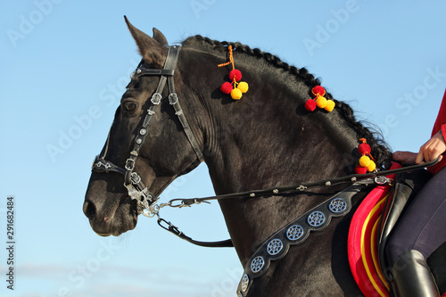Performance black andalusian horse portrait in sky clouds background