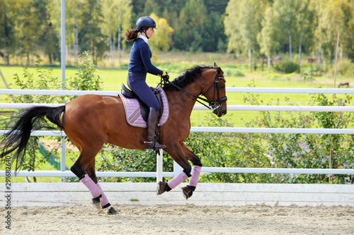 Woman riding sportive dressage horse down the path in the evening  © horsemen