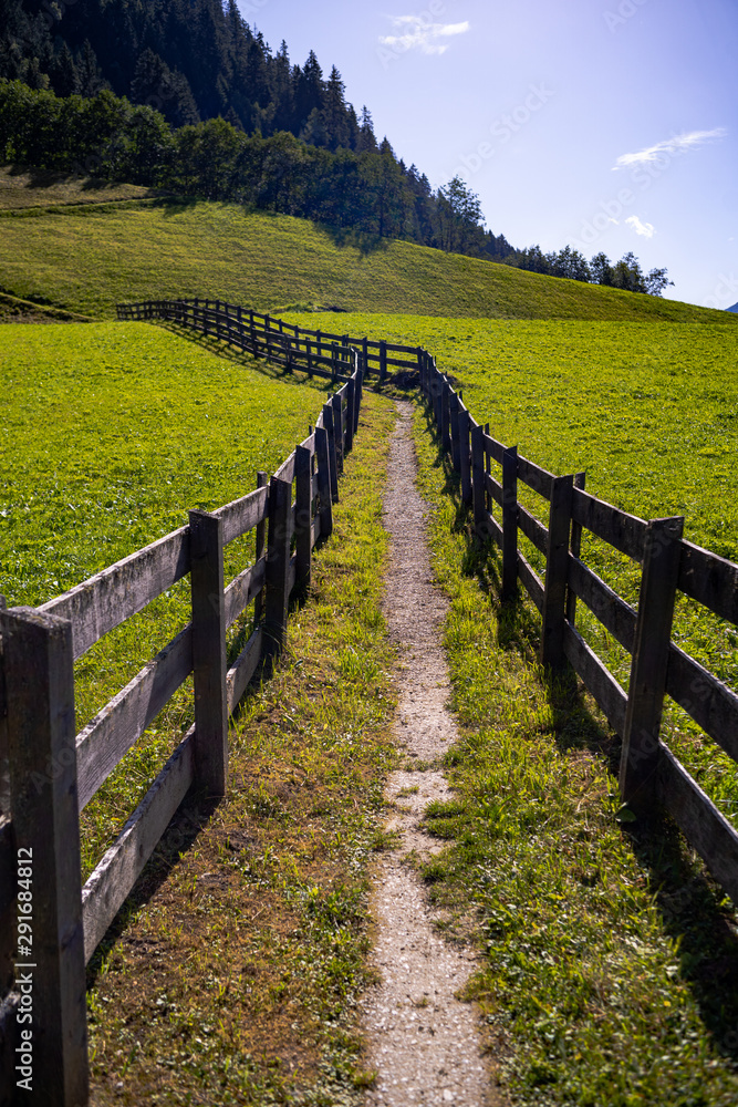 hiking path with wooden fence in a field