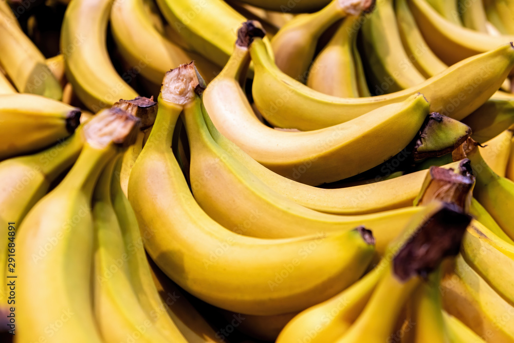 Pile of bright yellow bananas closeup with shallow focus
