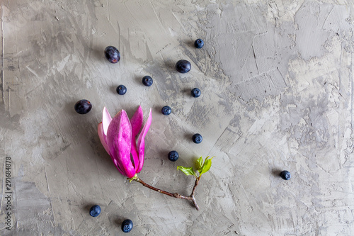 Purple magnolia flower with blueberries on concrete with copy space