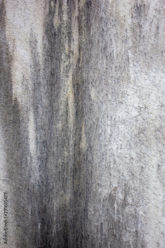 Wallpaper Mural Old concrete texture background for design. Authentic Cemetery and Tombstone Texture Photograph. - Image - Image Torontodigital.ca