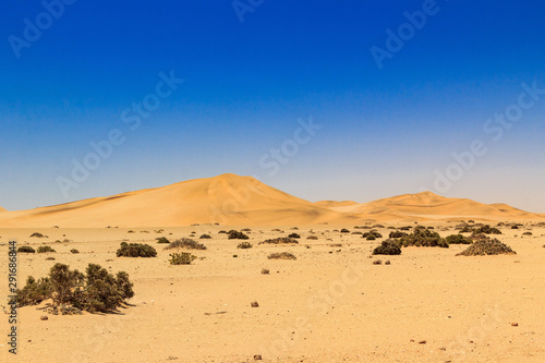 Soft sand dunes in a desert, Namib Naukluft Park, Namibia, Africa