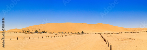 Panorama of Dune 7 - one of the highest sand dunes in the world, Namibia, Africa