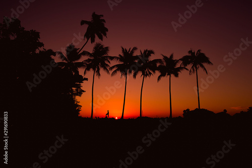 silhouette of coconut tree at evening sky background