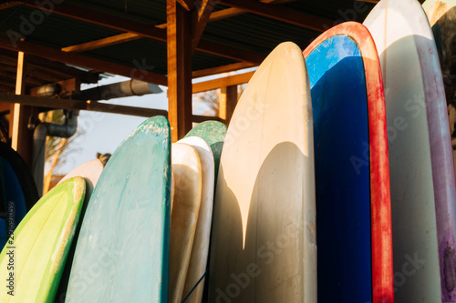 Photography Set of colorful surfboard for rent on the beach