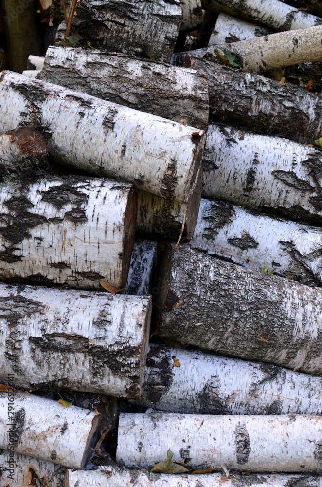 A stack of birch logs - wooden background, lumbering A stack of birch logs - wooden background, lumbering