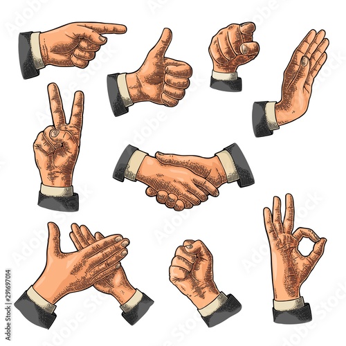 Male Hand sign. Like, Handshake, Ok, Stop, Middle finger, Victory