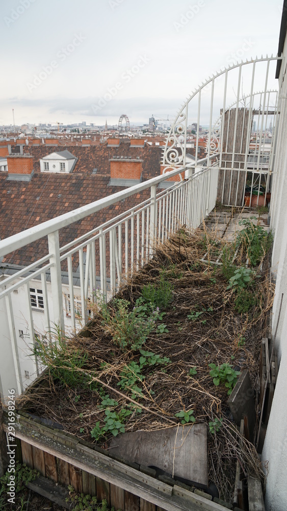 Obraz premium Belcony Garden