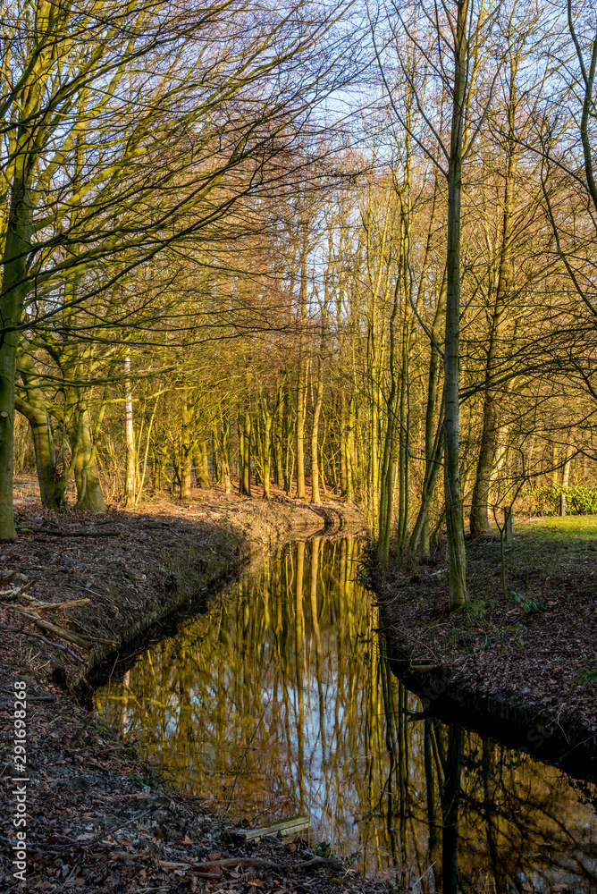 Autumn pictures with reflections in the water in autumn light Autumn pictures with reflections in the water in autumn light