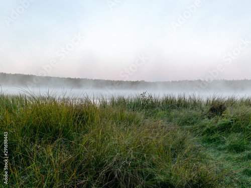 Scenic view from swamp   morning landscape with fog over a small forest lake and swamp  at autumn morning  frost  beautiful reflections  Driskina lake  Raiskums parish  Latvia