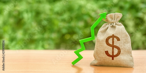 Money bag with dollar symbol and green up arrow. Increase profits and wealth. growth of wages. Investment attraction. loans and subsidies. favorable conditions. Favorable conditions for business. photo