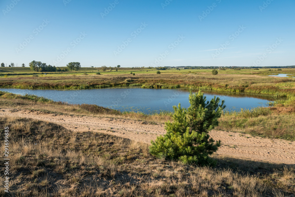 Backwaters of the Narew River near the village of Wizna, Podlaskie, Poland
