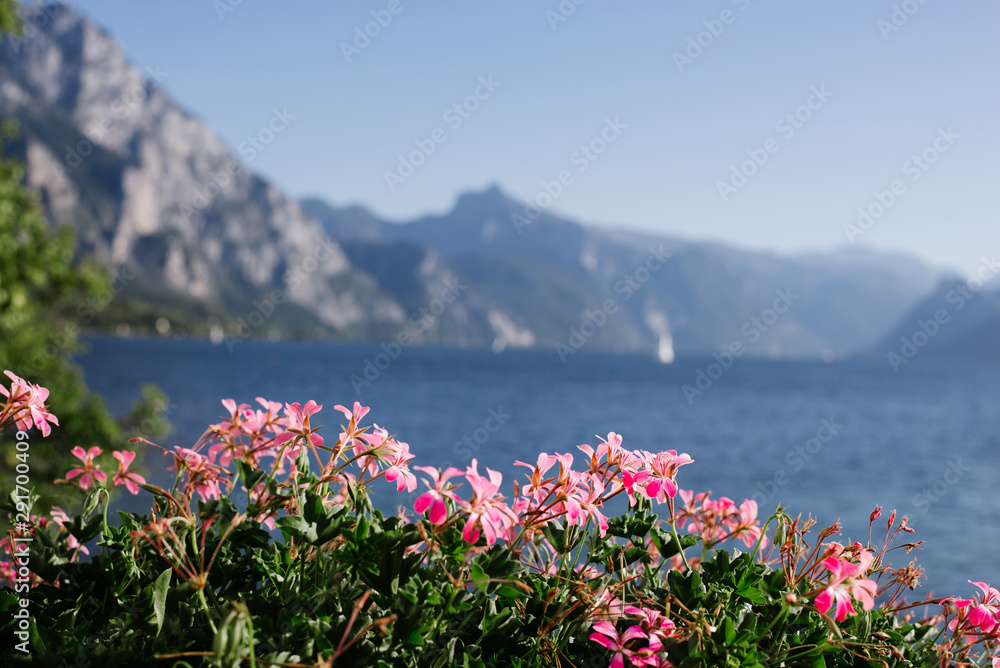 Obraz premium Purple flowers on the background of mountains and green lake