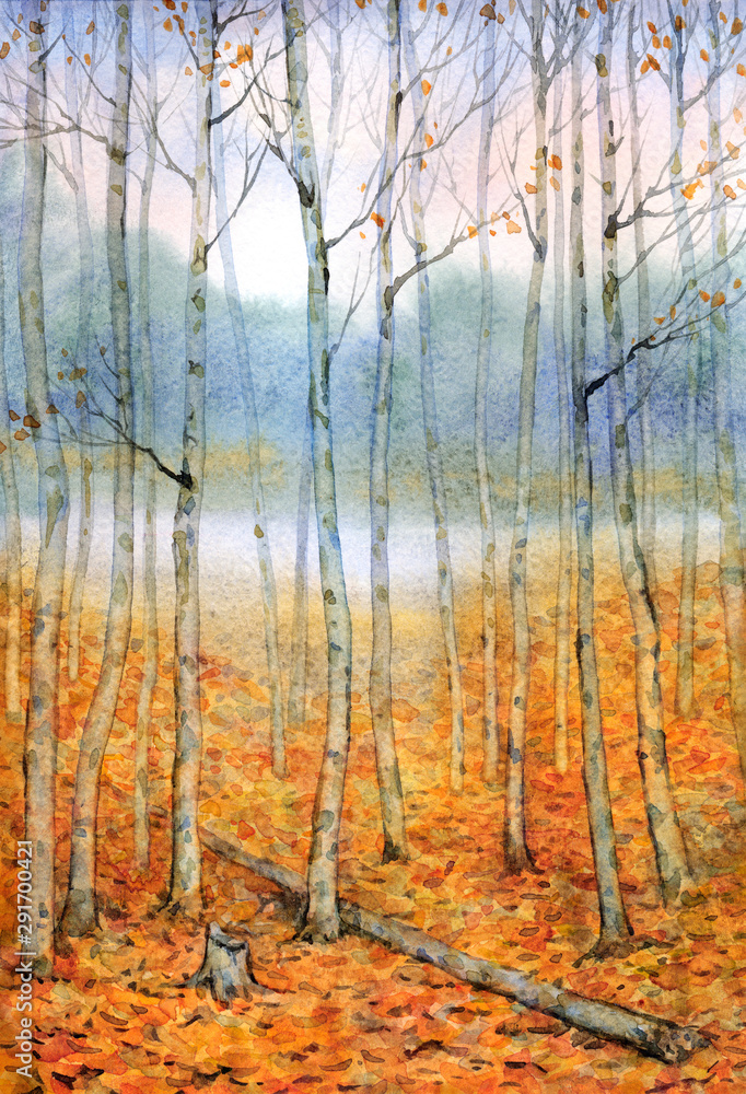 Fototapeta premium Watercolor landscape. A quiet evening in the autumn forest