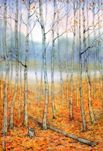 Watercolor landscape. A quiet evening in the autumn forest