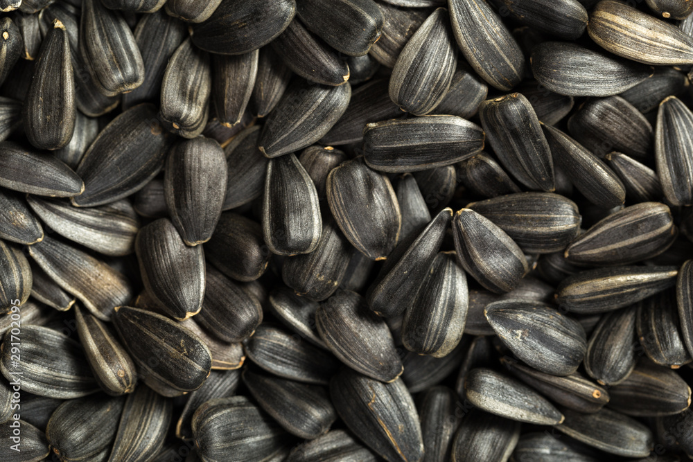 organic sunflower seed for background uses organic sunflower seed for background uses