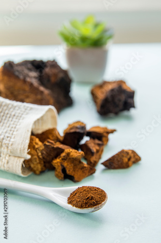 Side view of wild natural chaga mushroom, Inonotus obliquus powder and pieces for making tea and coffee on light blue background. Healthy herbal plant based medicinal food supplement concept. photo