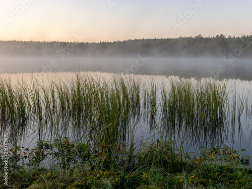 Scenic view from swamp , morning landscape with fog over a small forest lake and swamp at autumn morning, frost, beautiful reflections, Driskina lake, Raiskums parish, Latvia