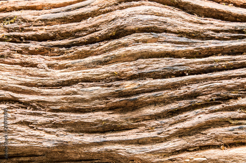 old wood texture of rope