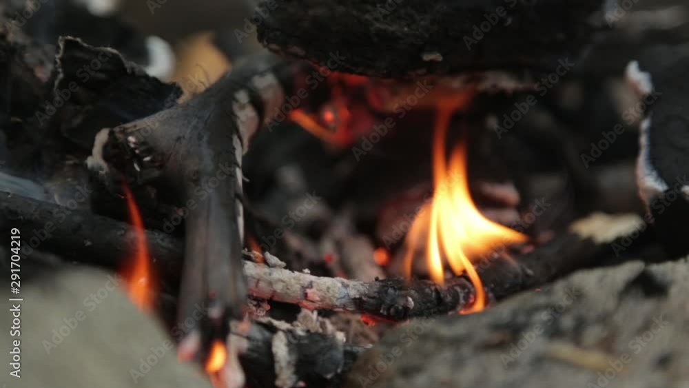 Burning branches on a picnic fire. Fire and coals in the forest in macro. Burning branches on a picnic fire. Fire and coals in the forest in macro.