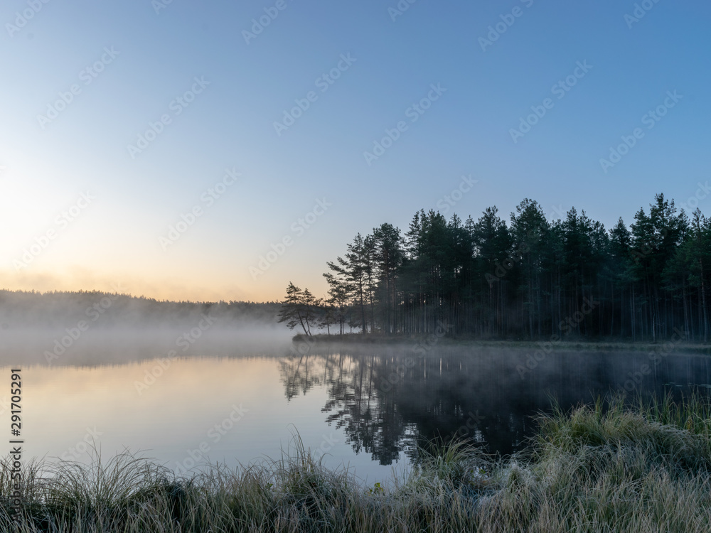 Fototapeta premium Scenic view from swamp , morning landscape with fog over a small forest lake and swamp at autumn morning, frost, beautiful reflections, Driskina lake, Raiskums parish, Latvia