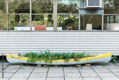 Fotografi Old canoe reused as a herb garden.