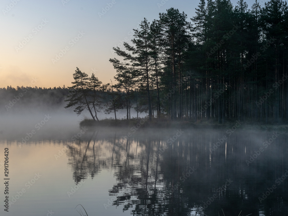 Scenic view from swamp , morning landscape with fog over a small forest lake and swamp at autumn morning, frost, beautiful reflections, Driskina lake, Raiskums parish, Latvia Scenic view from swamp , morning landscape with fog over a small forest lake and swamp at autumn morning, frost, beautiful reflections, Driskina lake, Raiskums parish, Latvia