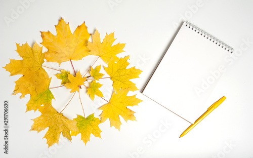 Autumn composition. Notepad  pen  round pattern made of maple branches with yellow leaves on a white background.