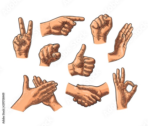 Male Hand sign. Like, Handshake, Ok, Stop, Middle finger, Victory