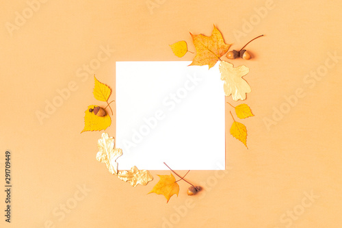 Autumn leaves on a pastel background