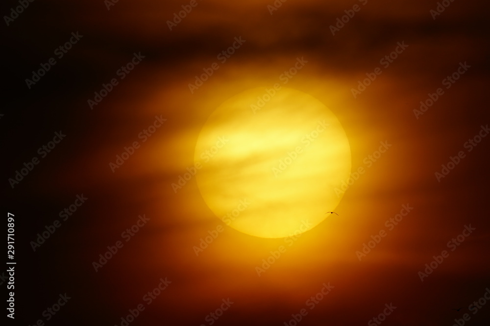 solar disk sunset clouds  atardecer con disco solar atravesado por aves al vuelo malaga andalucia  españa spain