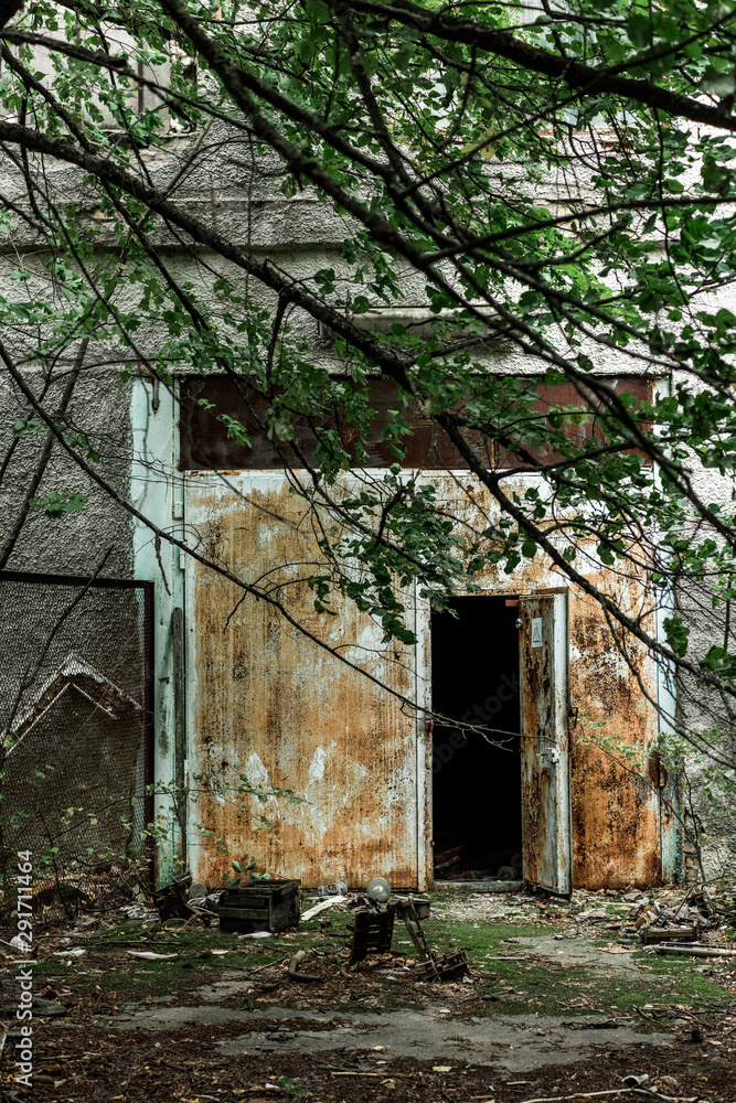 selective focus of twigs with green leaves near abandoned building in chernobyl selective focus of twigs with green leaves near abandoned building in chernobyl