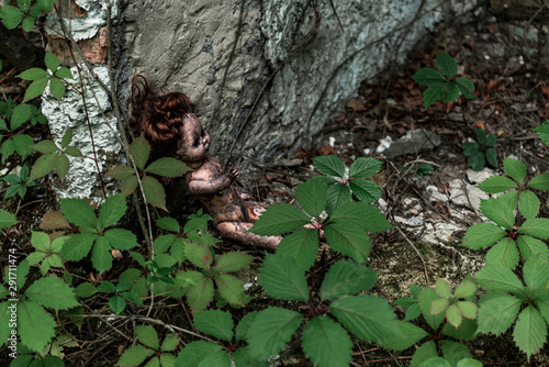 overhead view of burnt baby doll near green leaves and tree trunk in chernobyl