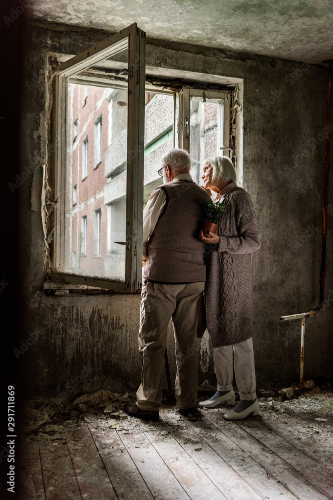 senior woman holding green plant and standing with husband near windows senior woman holding green plant and standing with husband near windows