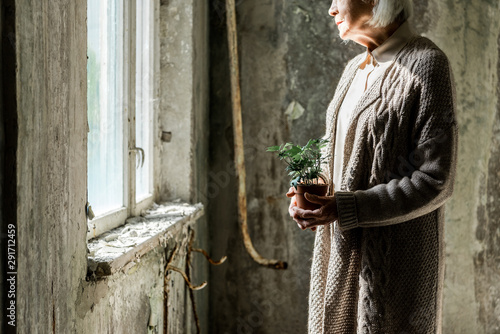 cropped view of senior woman holding small plant in pot photo