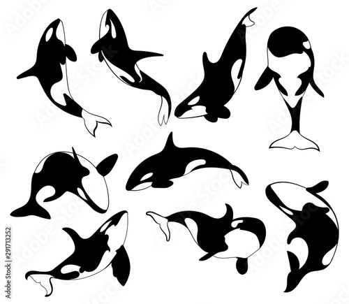 Set of killer whales. Collection of stylized orca whale. Black white vector illustration of sea predatory fish. Tattoo. photo