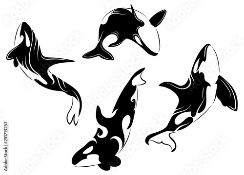 Set of killer whales. Collection of stylized orca whale. Black white vector illustration of sea predatory fish. Tattoo.
