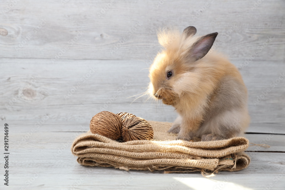 cute brown easter bunny rabbit on sackcloth with wood background cute brown easter bunny rabbit on sackcloth with wood background
