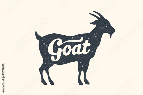 Canvas Print Goat, lettering. Design of farm animals - Goat