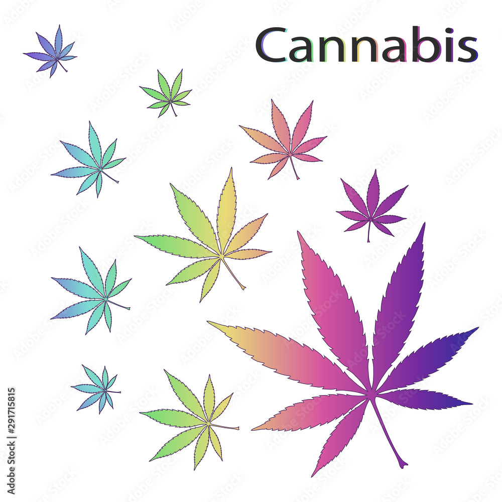 Cannabis. Vector illustration of marijuana. Flying leaves of rainbow color.