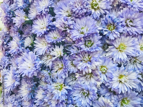 bouquet of flowers on blue background