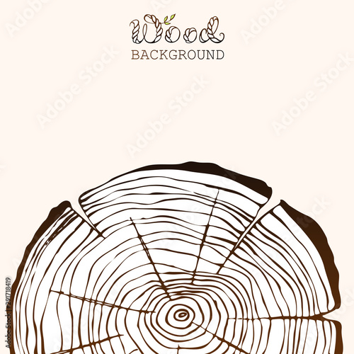 Circular cross cut of tree trunk background. Hand drawn old woody texture and wood word lettering.