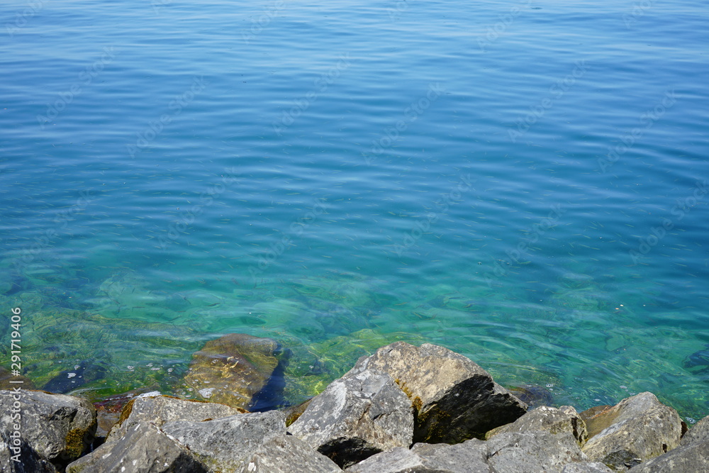 Clear blue water with swimming fish in Lake Geneva (Lac Leman) in Evian-les-Bains, Haute-Savoie, France